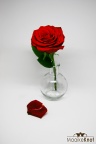 Product studio